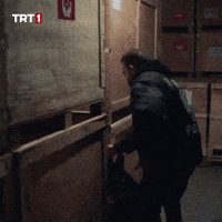 Police Dog What GIF by TRT
