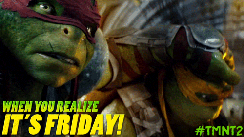 teenage mutant ninja turtles mikey GIF by Paramount Pictures