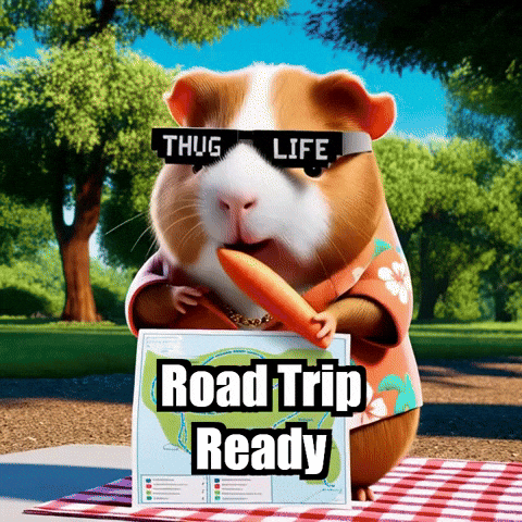 Picnic Road Trip Ready GIF by Guinea Gambino