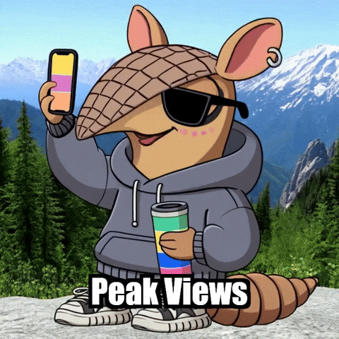 Selfie Mountains GIF by Chillo Dillo