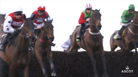 Horse Racing Jump GIF by Ascot Racecourse