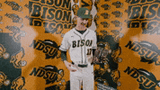 Sam Roberts Baseball GIF by NDSU Athletics