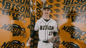 Sam Roberts Baseball GIF by NDSU Athletics