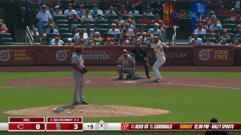 estee42 giphyupload GIF