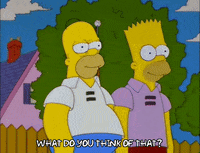 homer simpson GIF