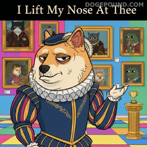 Art Gallery Whatever GIF by Doge Pound