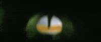 Sub Pop Chloe GIF by Sub Pop Records