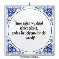 Humor Nl GIF by Tegelspreuken.nl