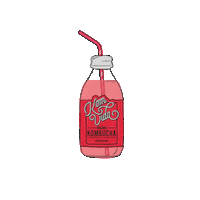 Komvidakombucha green ginger berry kombucha Sticker