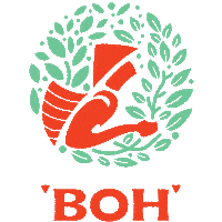 tea time break Sticker by BOH Tea