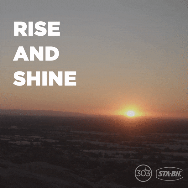 303Products giphyupload good morning morning sunrise GIF