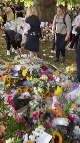Crowd Helps Remove Plastic From Tribute Flowers for Queen in Green Park, London