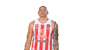 Kkcz Delije Sticker by BC Crvena zvezda