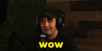 Podcast Wow GIF by Wesam's World