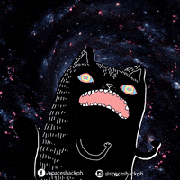 spaceshackph cat psychedelic space hungry GIF