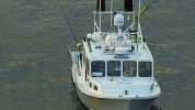wicked tuna GIF by National Geographic Channel