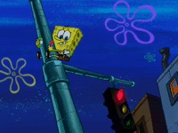 season 5 GIF by SpongeBob SquarePants