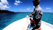 alessandromarras- alessandro viaggi coollife alemarras GIF