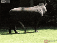Mrw GIF