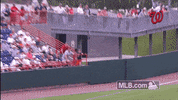 det GIF by MLB