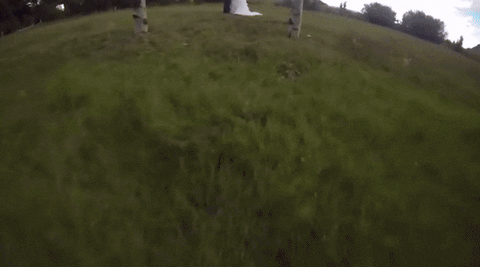 GIF by Mashable