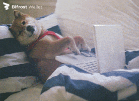 Crypto Meme GIF by Bifrost Wallet