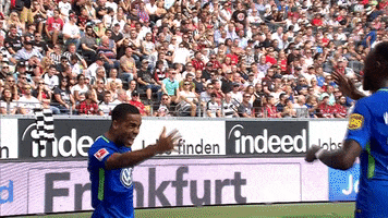 vflwolfsburg celebration goal bundesliga wolfsburg GIF