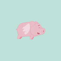 Flying Pig GIF by PositivelyPigasus