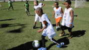 GVLTriumph soccer community greenville greenville triumph GIF