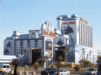 las vegas hooters hotel GIF by Tyler Menzel, GIPHY Editorial Director