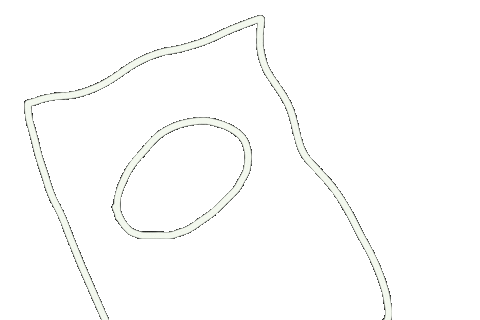 Drawing Draw Sticker