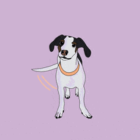Cute Dog GIF by end of story. ny