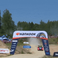Skills Hyundai GIF by FIA World Rally Championship