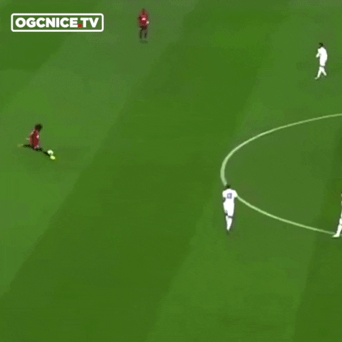 ogcnice-on-giphy ogc nice ogcn ogcgif GIF