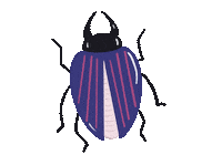 Insect Beetle Sticker