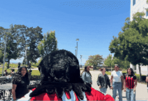 GIF by Cal State East Bay