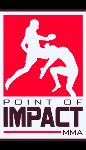 Pointofimpactmma giphygifmaker giphygifmakermobile GIF