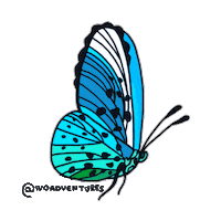 summer sea Sticker by Ivo Adventures