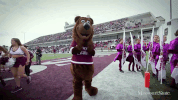 boomer bear GIF by Missouri State University