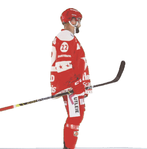 Stjernen Elite Sticker by StjernenHockey