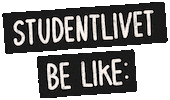 Studying Student Life Sticker