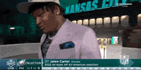 Philadelphia Eagles Football GIF by NFL