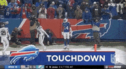 Regular Season Football GIF by NFL