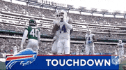 Buffalo Bills Football GIF by NFL