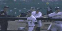 college baseball sport GIF by NCAA Championships