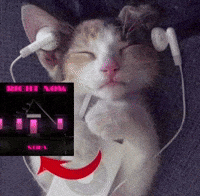 Sira GIF