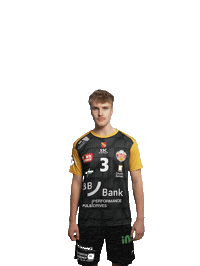 Karlsruhe Sticker by Volleyball Bundesliga