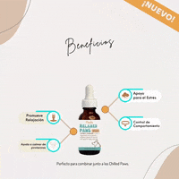 GIF by Pawls Company