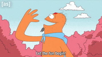 Fun Yolo GIF by Adult Swim