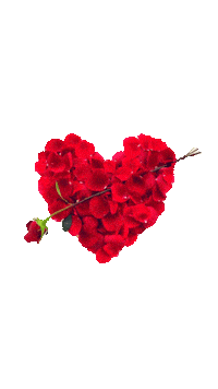 Love You Hearts Sticker